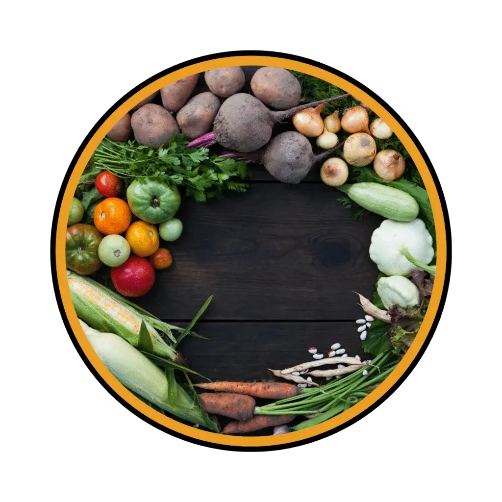 Sustainability & Circular Systems Integration